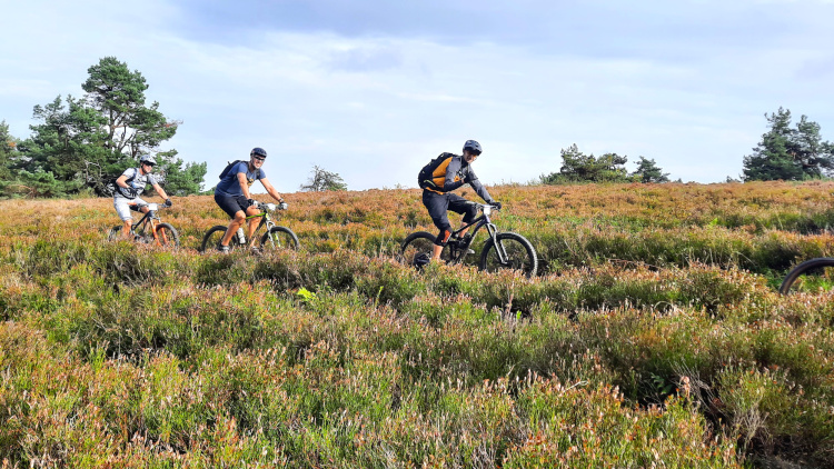 HochSauerland trails