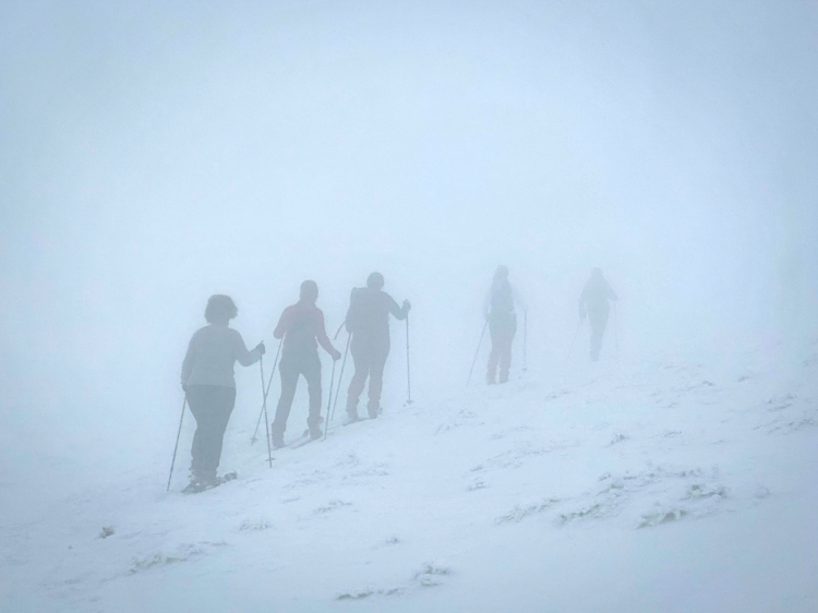 Backcountrycursus Schwarzwald