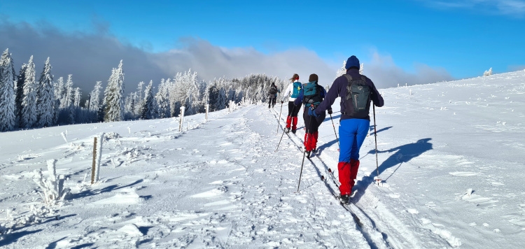 Backcountrycursus Schwarzwald