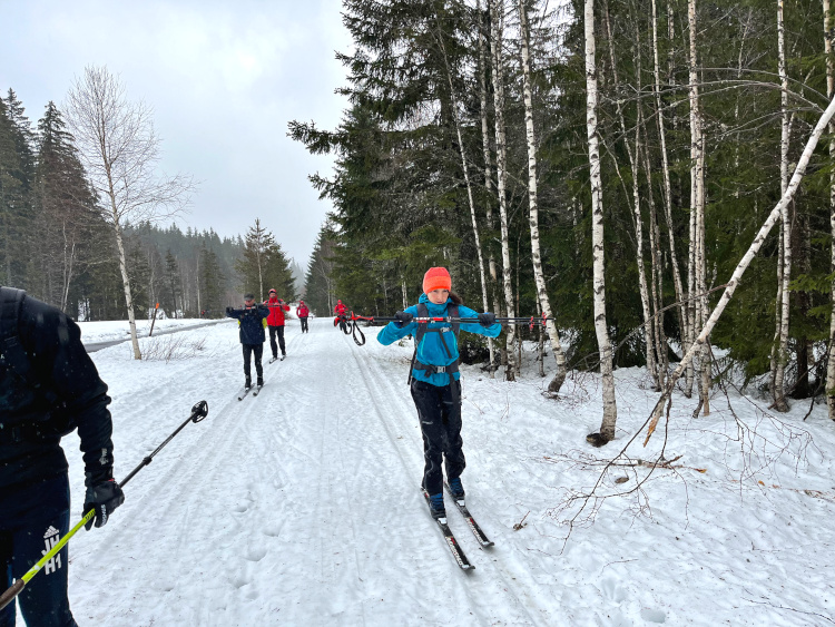 Backcountry Trekking Sumava