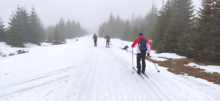 Backcountry Trekking Sumava