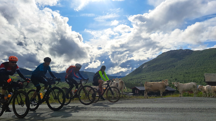 Gravelbike Norway