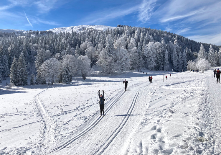 Langlaufcursus Schwarzwald