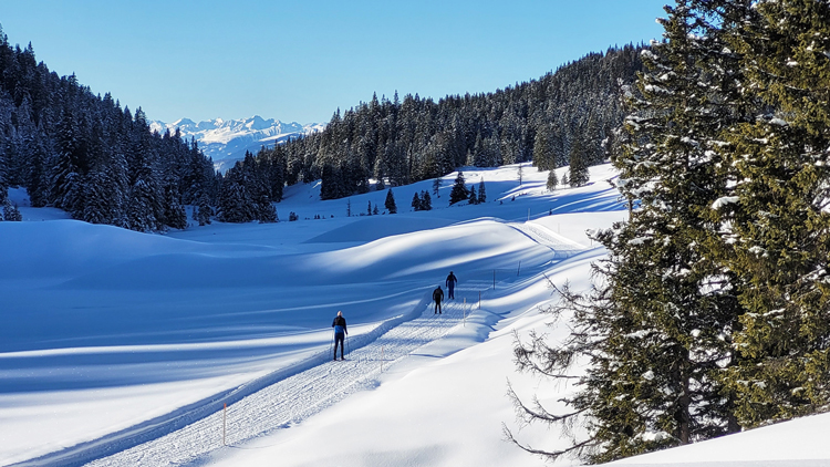 Langlauftrekking Drei Zinnen