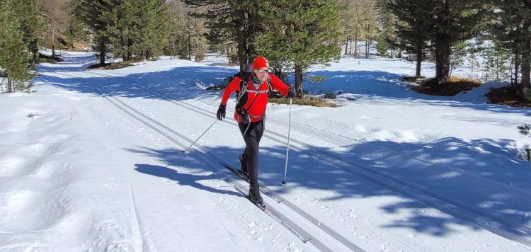 Langlauftrekking Engadin