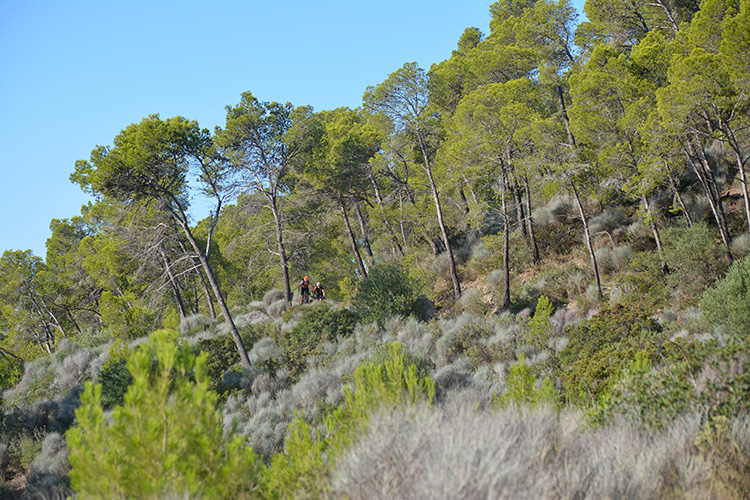 Vuelta Mallorca