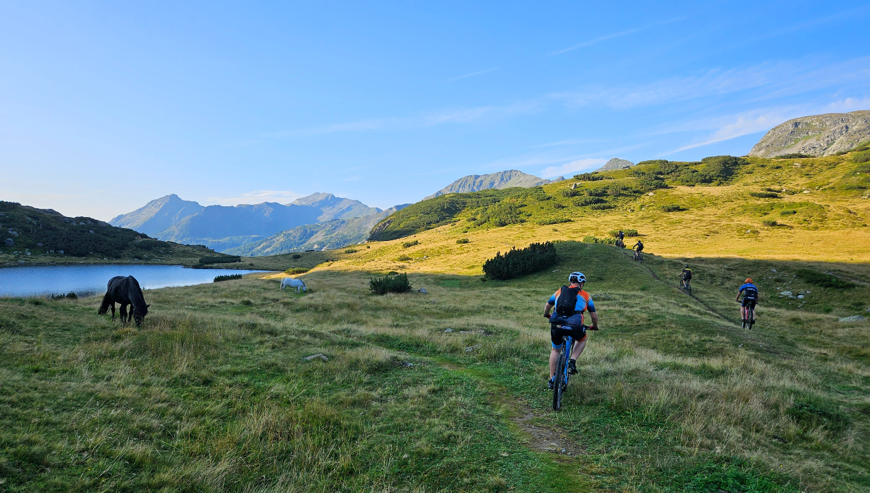 Vijf MTB'ers in een dal met paarden