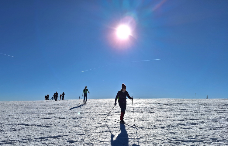 Backcountrycursus Schwarzwald