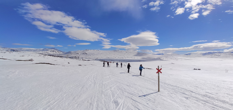 24_Bc_trekking-Sylarna00220