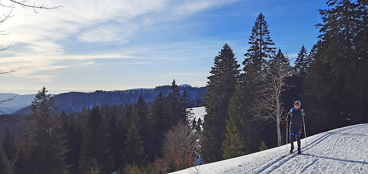 Schwarzwald