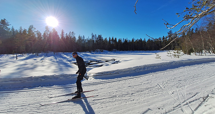 Vasa loppet