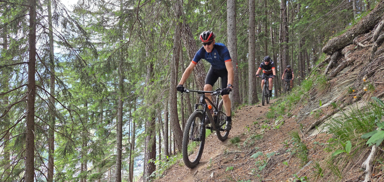 TransAlp Brennerkam Levico MTB