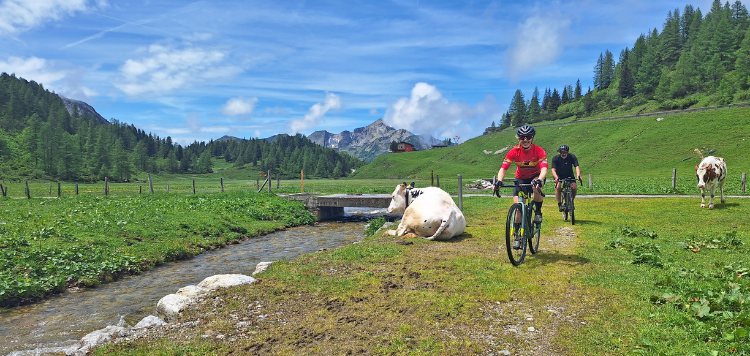 Gravelbike TransAlp Adria 
