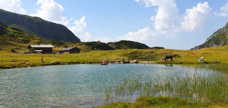 Dachstein Hutte runde Vasa Sport
