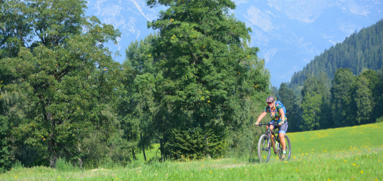 Dachstein Hutte runde Vasa Sport