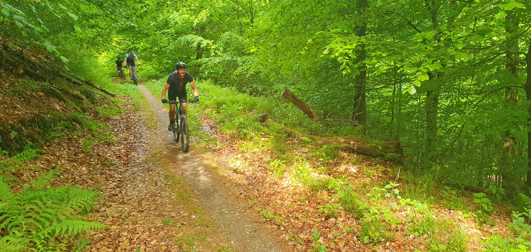 MTB Weekend HochSauerland Trails