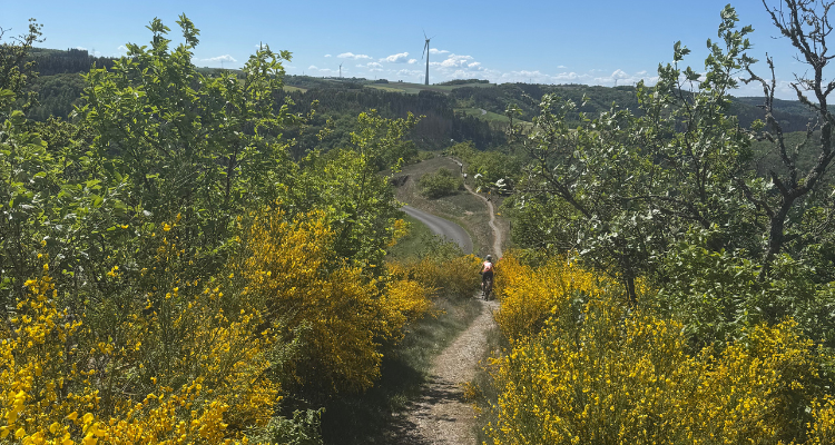 Vasa Sport MTB weekend Luxemburg trails