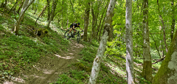 Vasa Sport MTB weekend Luxemburg trails