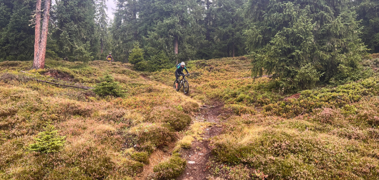 Panorama TransAlp Tirol