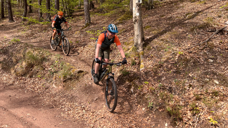 Vasa Sport MTB'en Pfälzerwald trails