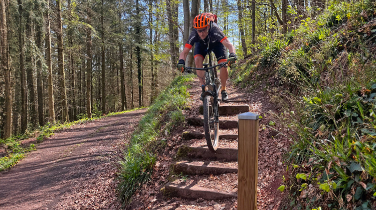 Vasa Sport MTB'en Pfälzerwald trails