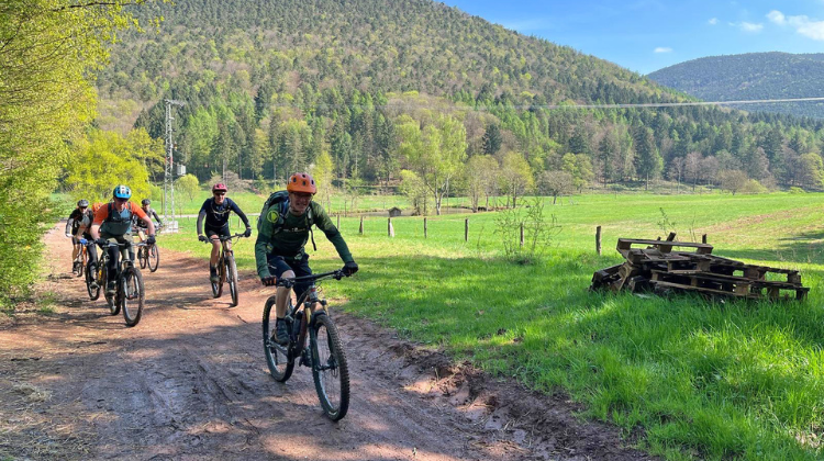 Vasa Sport MTB'en Pfälzerwald trails