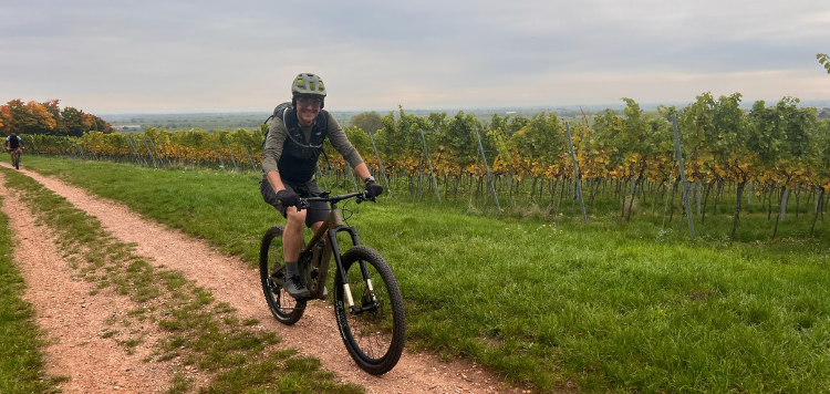 Pfälzerwald trails