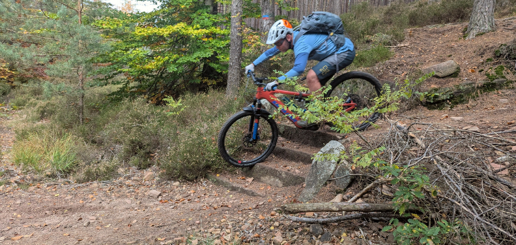 Pfalzerwald Trails