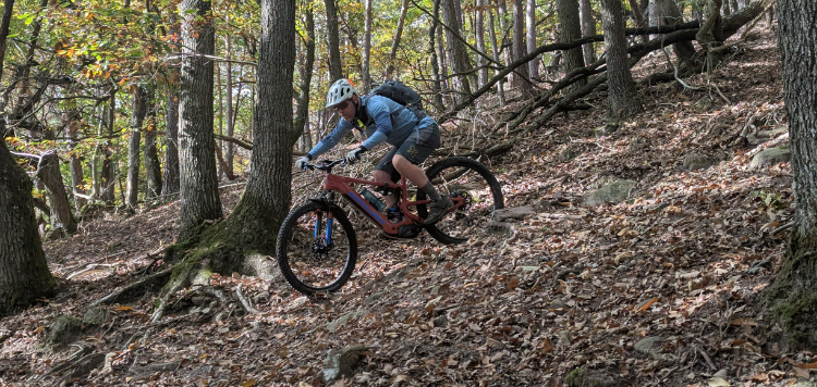Pfalzerwald trails