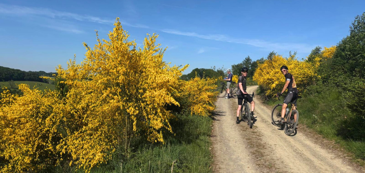 https://www.vasasport.nl/gravelbike/gps-reis-bergisches-land-gravelbike