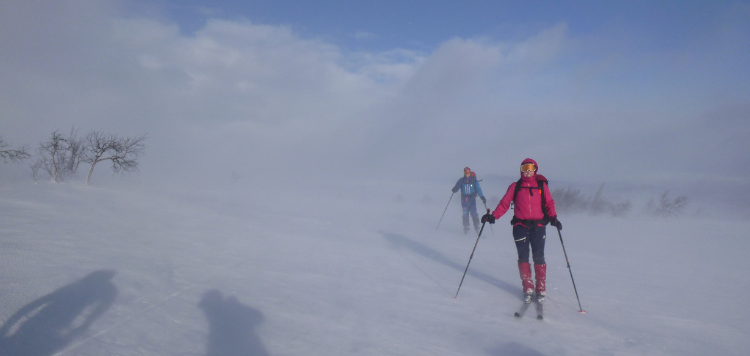 Twee langlaufers in een sneeuwstorm