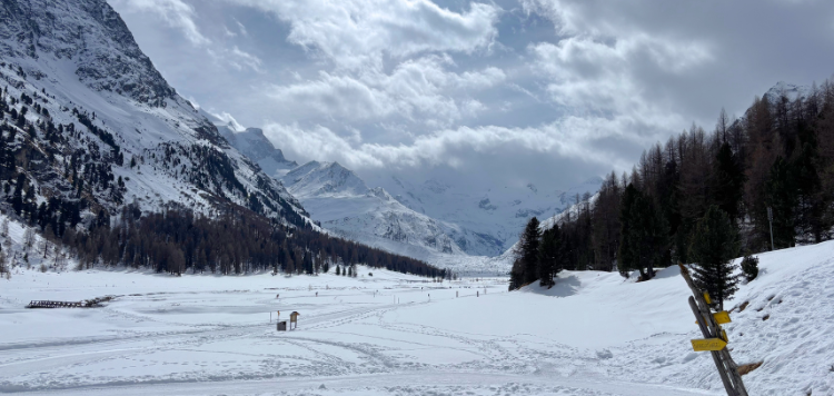 Afbeelding van een dal met een gletsjer op de achtergrond
