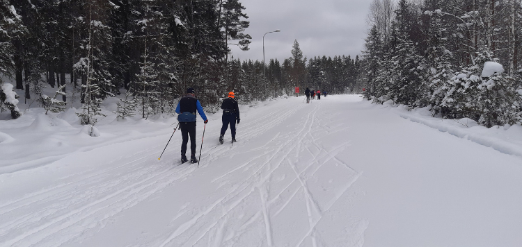 2 langlaufers die voor je uit skien door een besneeuwd bos