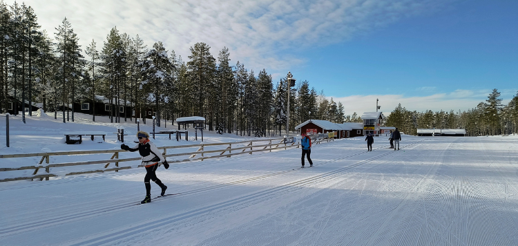 Langlaufsafari Zweden