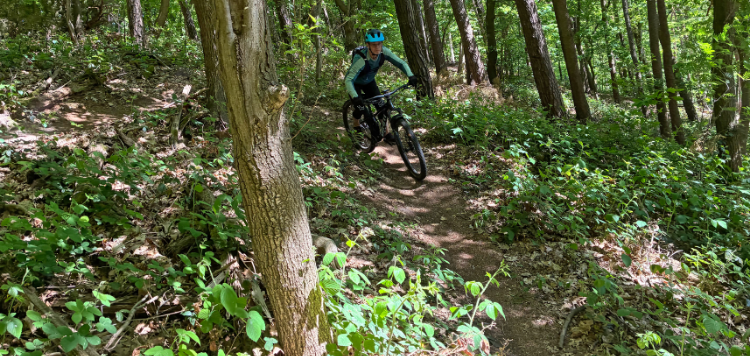 MTB techniektraining Limburg Vasa Sport