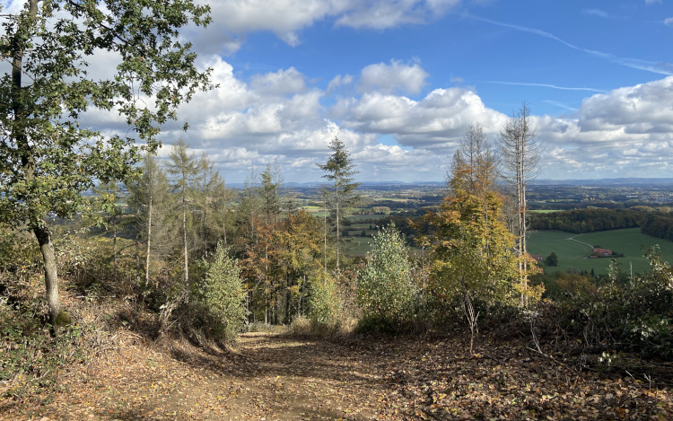 Bielefeld Trails