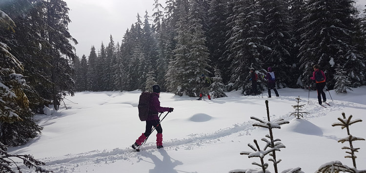 Backcountry-langlauf-toerlanglauf-reis-tocht-sumava-tsjechie