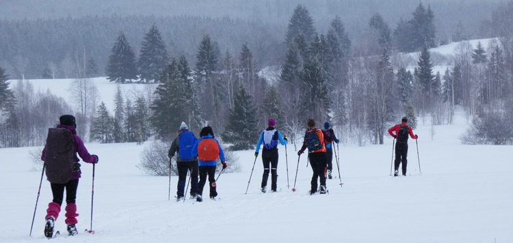 Backcountry-langlauf-toerlanglauf-reis-tocht-sumava-tsjechie