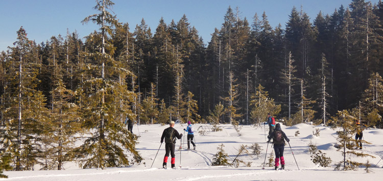 Backcountry-langlauf-toerlanglauf-reis-tocht-sumava-tsjechie