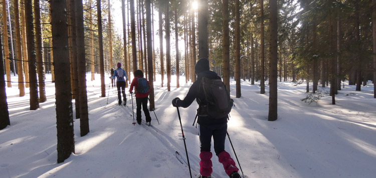 Backcountry-langlauf-toerlanglauf-reis-tocht-sumava-tsjechie