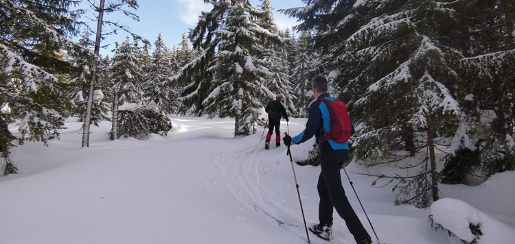 Backcountry-langlauf-toerlanglauf-reis-tocht-sumava-tsjechie-dag3-(3)-750