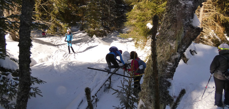 Backcountry-langlauf-toerlanglauf-reis-tocht-sumava-tsjechie