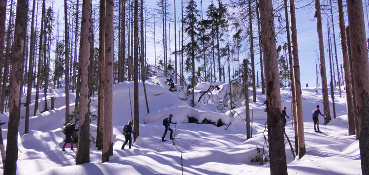 ​​Backcountry-langlauf-toerlanglauf-reis-tocht-sumava-tsjechie