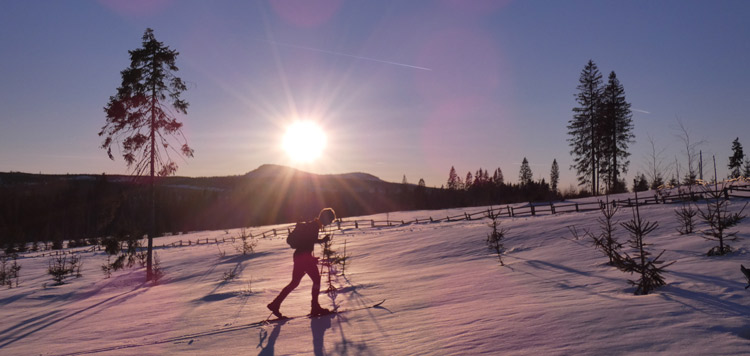 Backcountry-langlauf-toerlanglauf-reis-tocht-sumava-tsjechie