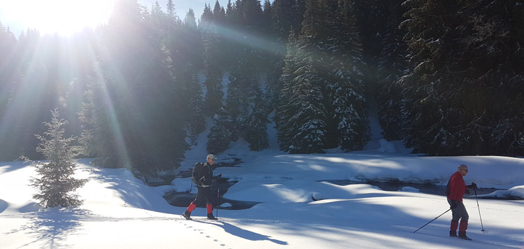 Backcountry-langlauf-toerlanglauf-reis-tocht-sumava-tsjechie