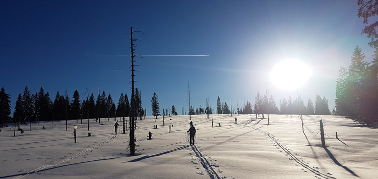 Backcountry-langlauf-toerlanglauf-reis-tocht-sumava-tsjechie