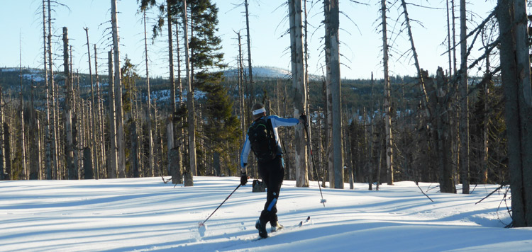 Backcountry-langlauf-toerlanglauf-reis-tocht-sumava-tsjechie