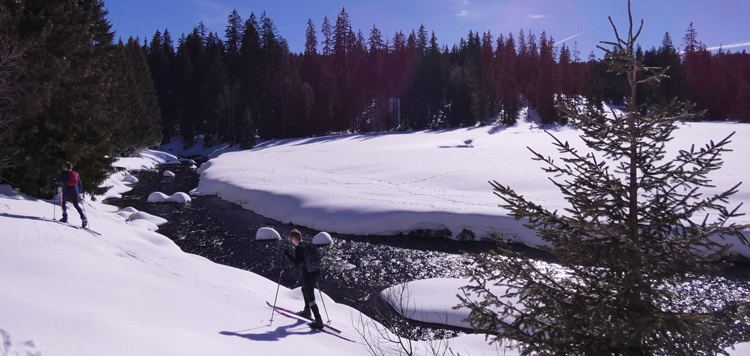 Backcountry-langlauf-toerlanglauf-reis-tocht-sumava-tsjechie