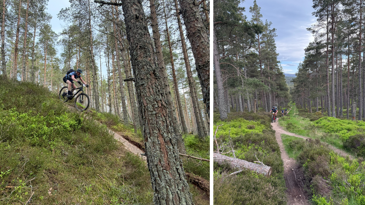 Carrousel | Een MTB drop-off & Groep van vier deelnemers die aan het klimmen zijn 