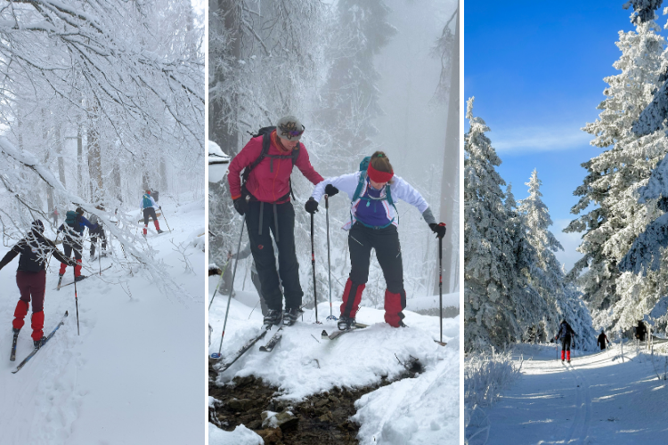 23BC Schwarzwald Cursus